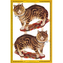 Large Tabby Cat Scraps ~ England